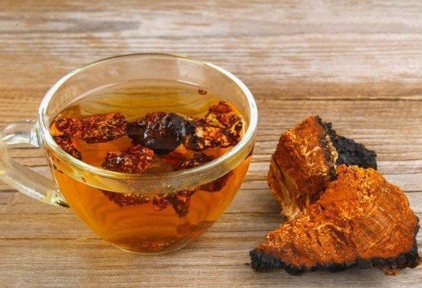 Chaga with gastritis of the stomach: recipes, reviews