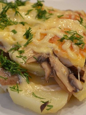 Champignon dish with chicken and cheese