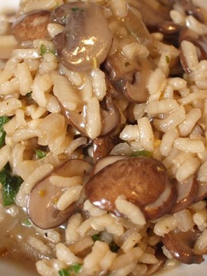 Champignon dishes cooked in a slow cooker