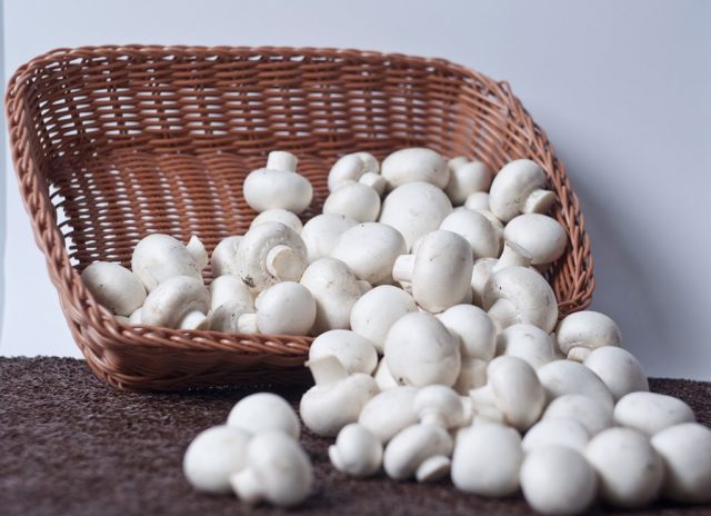 Champignons during pregnancy: is it possible or not, features and rules of use