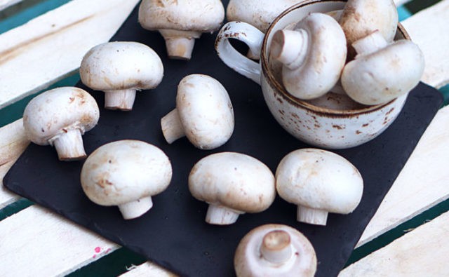 Champignons during pregnancy: is it possible or not, features and rules of use