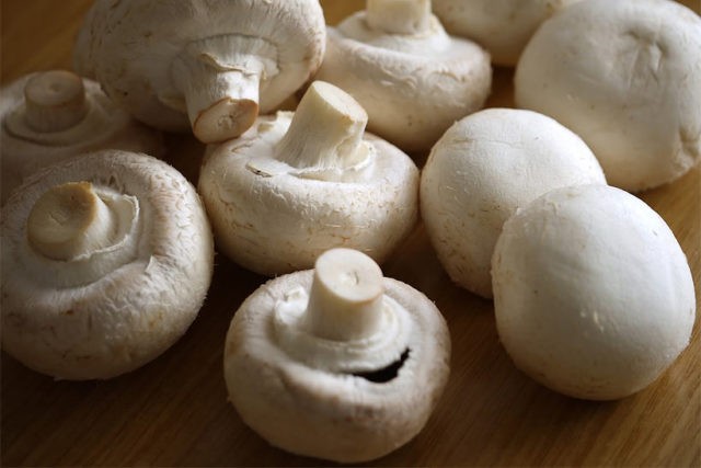 Champignons during pregnancy: is it possible or not, features and rules of use