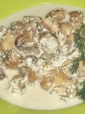 Champignons in sour cream: recipes for mushroom dishes