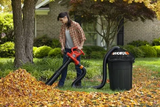 Champion gasoline knapsack blower: review of models, reviews