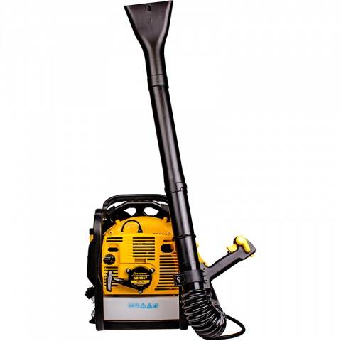 Champion gasoline knapsack blower: review of models, reviews