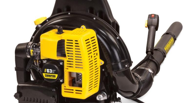 Champion gasoline knapsack blower: review of models, reviews