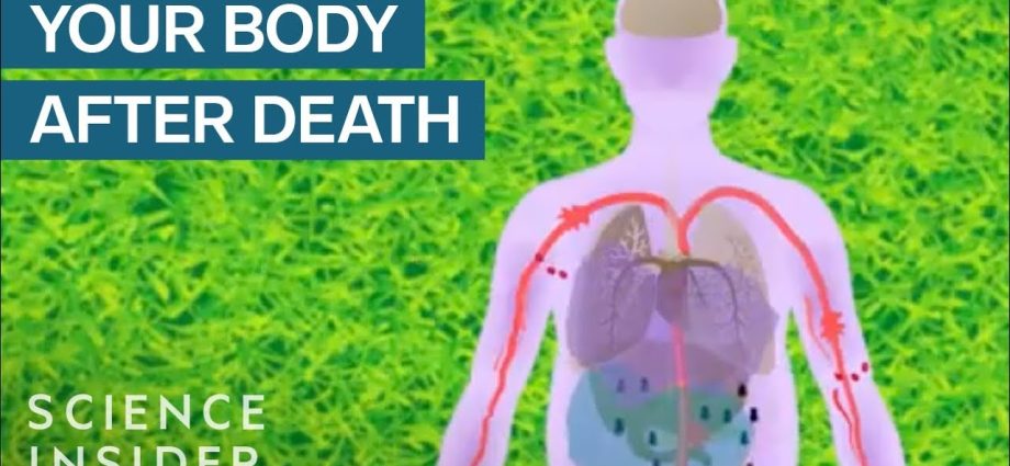 Change to soap, squeaks and excretions. This is how our body behaves after death