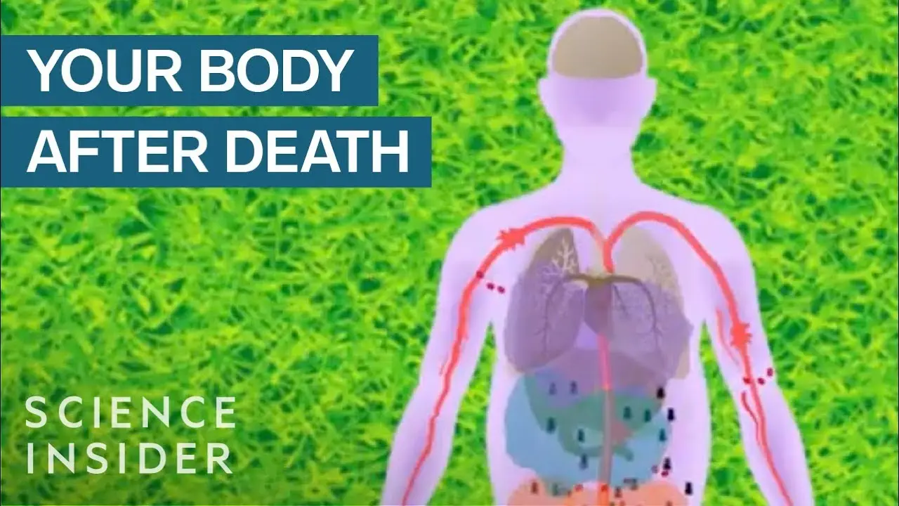 Change to soap, squeaks and excretions. This is how our body behaves after death