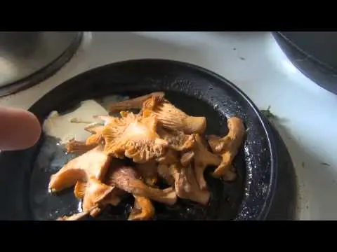 Chanterelle and mushroom mushrooms: differences, photo