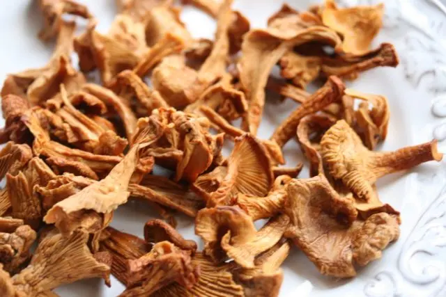 Chanterelle julienne: cooking recipes with photos