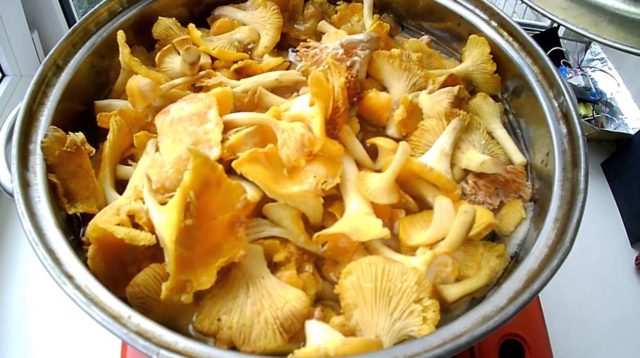 Chanterelle mushroom caviar: cooking recipes for the winter