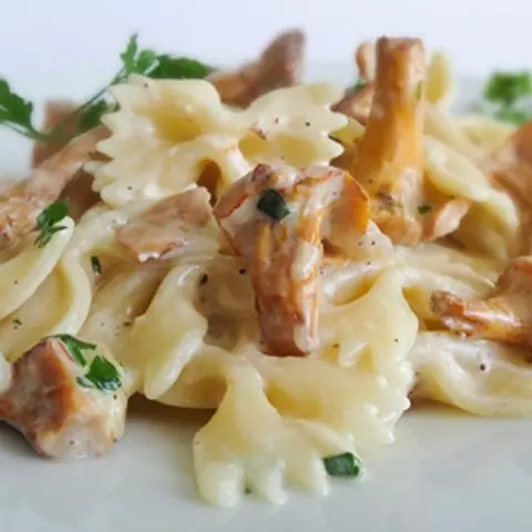 Chanterelle sauce with cream: step by step recipes with photos