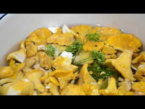 Chanterelles: how much to cook before frying and for soup