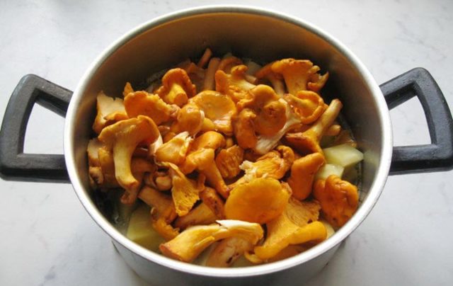 Chanterelles: how much to cook before frying and for soup