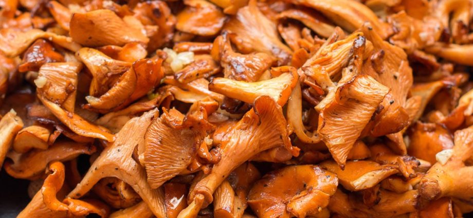 Chanterelles &#8211; mushrooms that are worth eating. Recipes with chanterelles