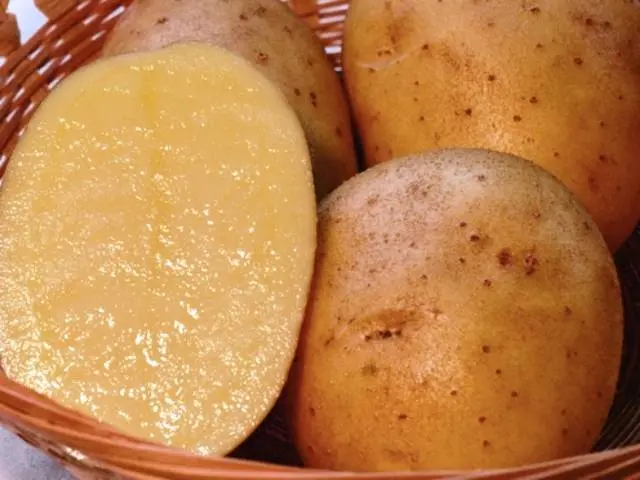 Characteristics of potatoes Inara