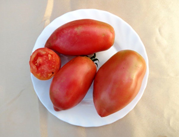 Characteristics of the pink flamingo tomato variety with a photo