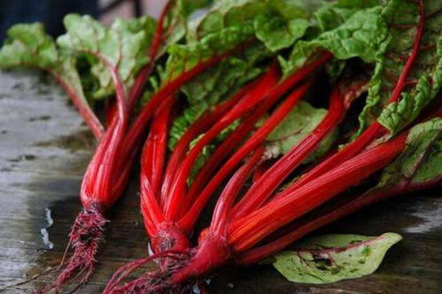 Chard (leaf beet): how to plant in open ground, growing on a windowsill