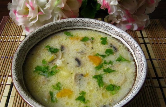 Cheese soup with champignons: recipes with processed cheese from fresh, canned, frozen mushrooms