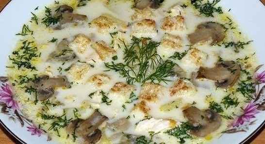 Cheese soup with champignons: recipes with processed cheese from fresh, canned, frozen mushrooms