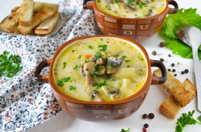 Cheese soup with champignons: recipes with processed cheese from fresh, canned, frozen mushrooms