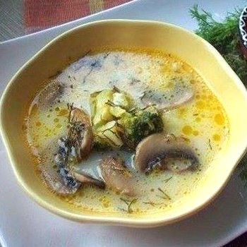 Cheese soups with champignons: first course recipes