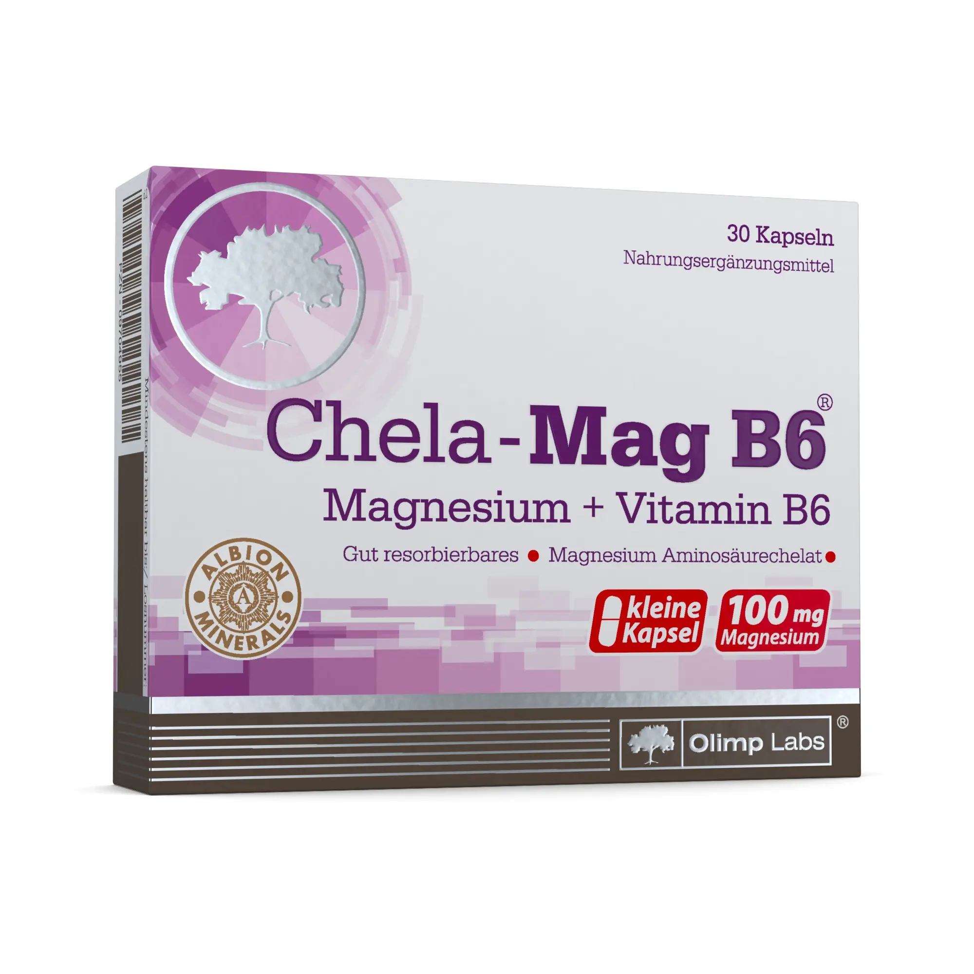 Chela-Mag B6 &#8211; when to use? The effect of vitamin B6 and magnesium on the body