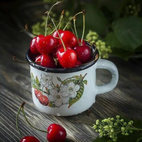 Cherries in syrup for the winter: without sterilization, for cake, pitted and with pits