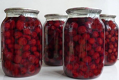 Cherries in their own juice: pitted, pitted, recipes for winter preparations