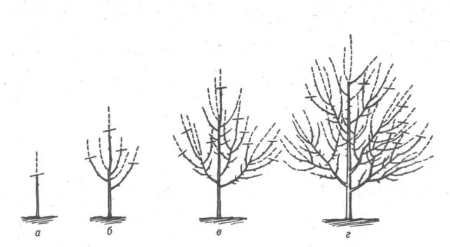 Cherry Bystrinka: variety description, photo, reviews of gardeners, pollinators