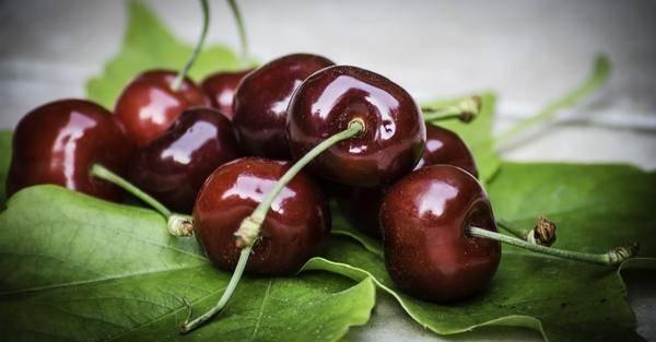 Cherry Chernokorka