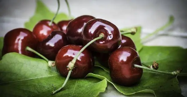 Cherry Chernokorka