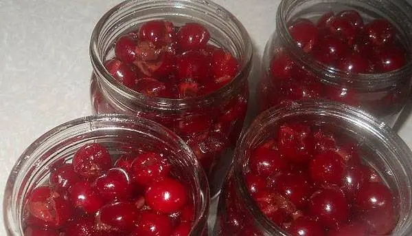 Cherry compote