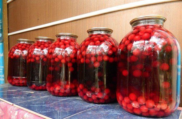 Cherry compote: how to cook from frozen and fresh berries, recipes for cooking in a saucepan, preservation of a cherry drink