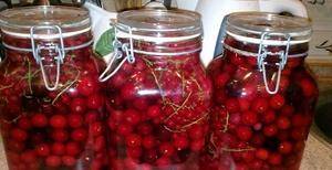 Cherry compote: recipes for the winter in jars