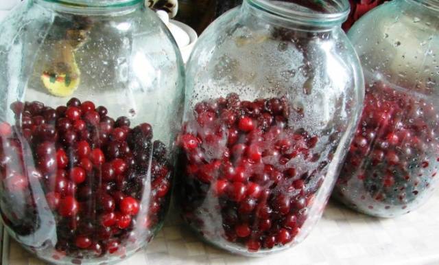 Cherry compote: recipes for the winter in jars