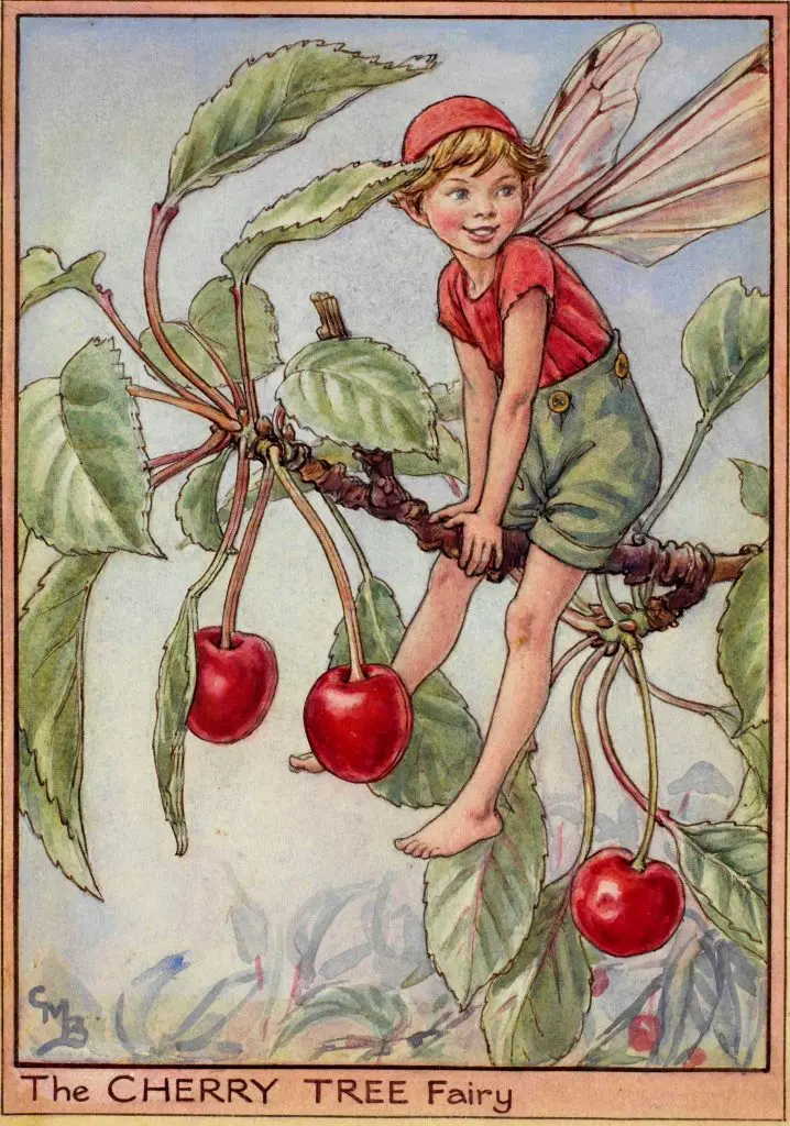 Cherry Fairy