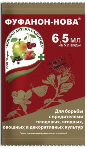 Cherry fly: terms and rules for processing with effective means and chemicals
