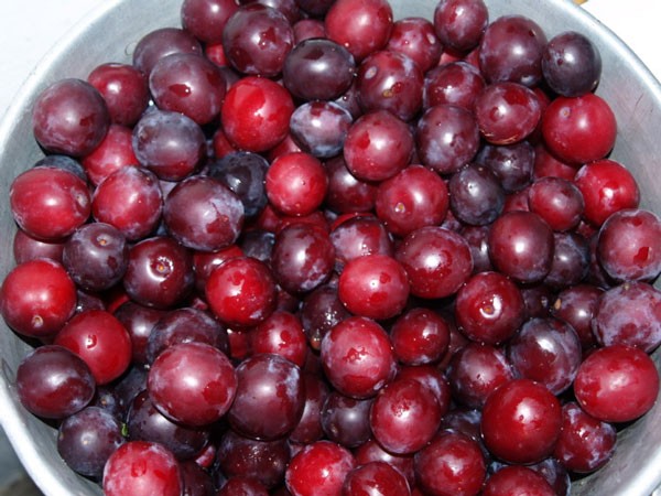 Cherry plum jam: how to cook a dessert of red and yellow cherry plums with and without pits