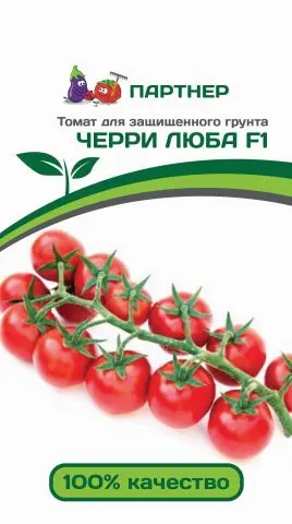 Cherry tomato Luba F1 from Partner