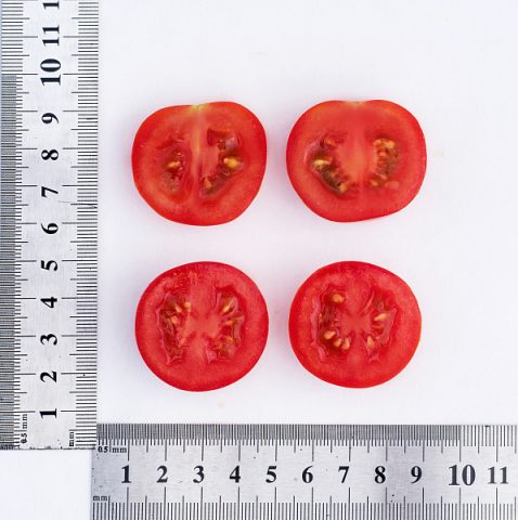 Cherry tomato Luba F1 from Partner