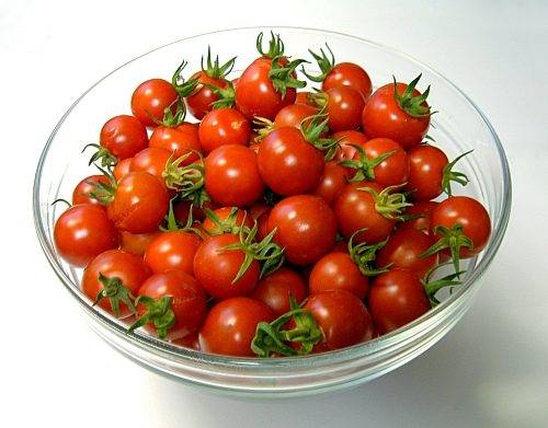 Cherry tomatoes: cultivation 