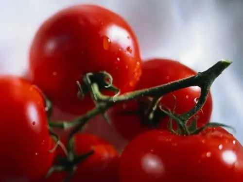 Cherry tomatoes: description of varieties with photos