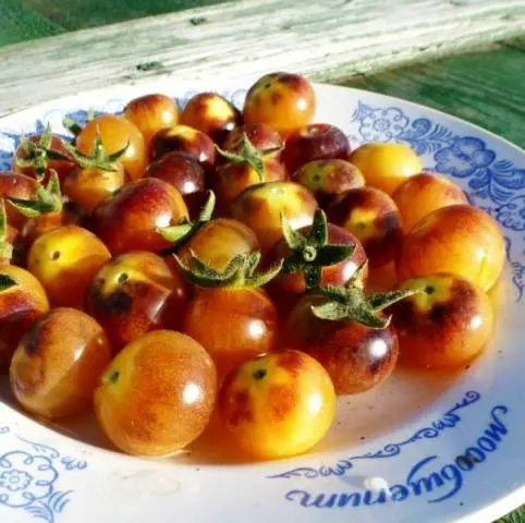 Cherry tomatoes: description of varieties with photos