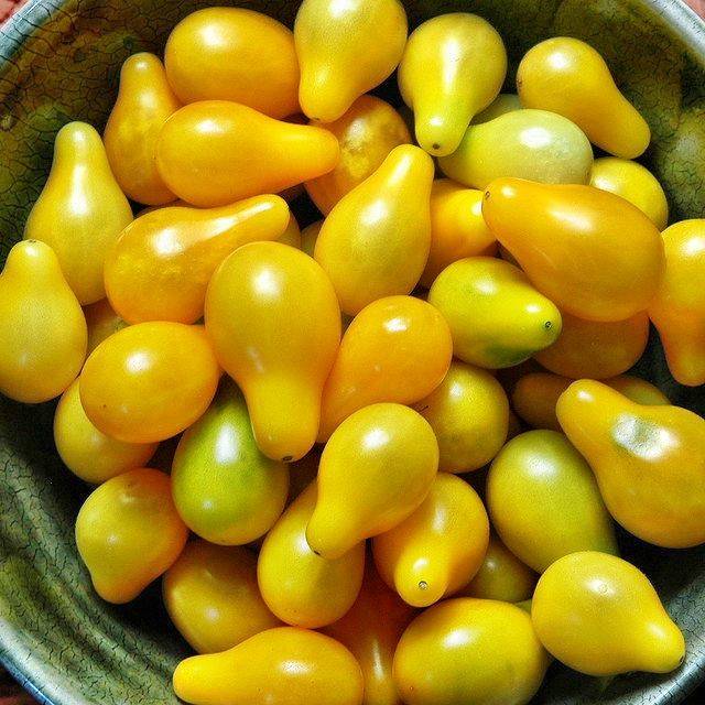 Cherry tomatoes: varieties, description of types of tomatoes