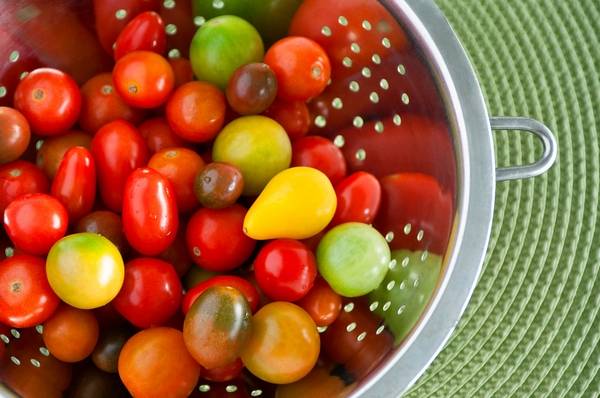 Cherry tomatoes: varieties, description of types of tomatoes