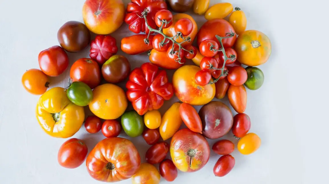 Cherry tomatoes: varieties, description of types of tomatoes