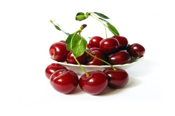 Cherry variety Nadezhda: description, characteristics, features of care