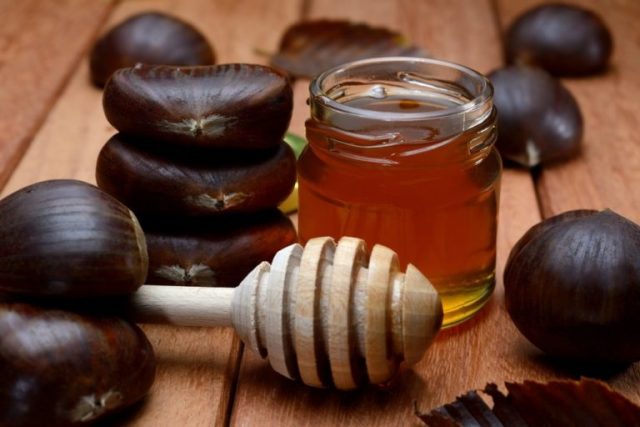 Chestnut honey: useful properties and contraindications