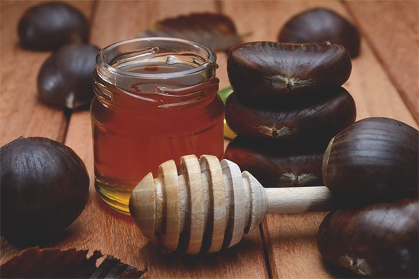 Chestnut honey: useful properties and contraindications